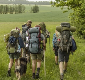 Postulat für ein Wandersemester Postulat für ein Wandersemester